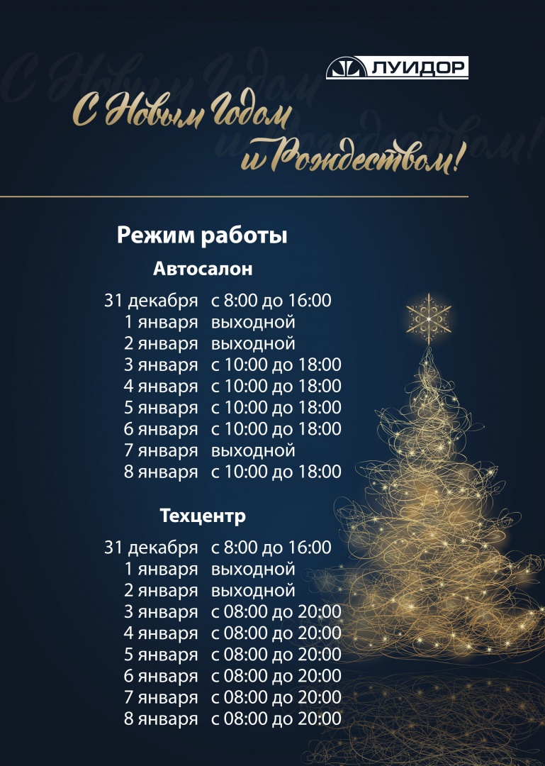 новогодний режимник челябинск общий.jpg