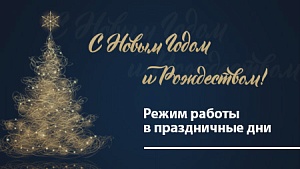 Режим работы в праздничные дни!