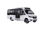 Автобусы